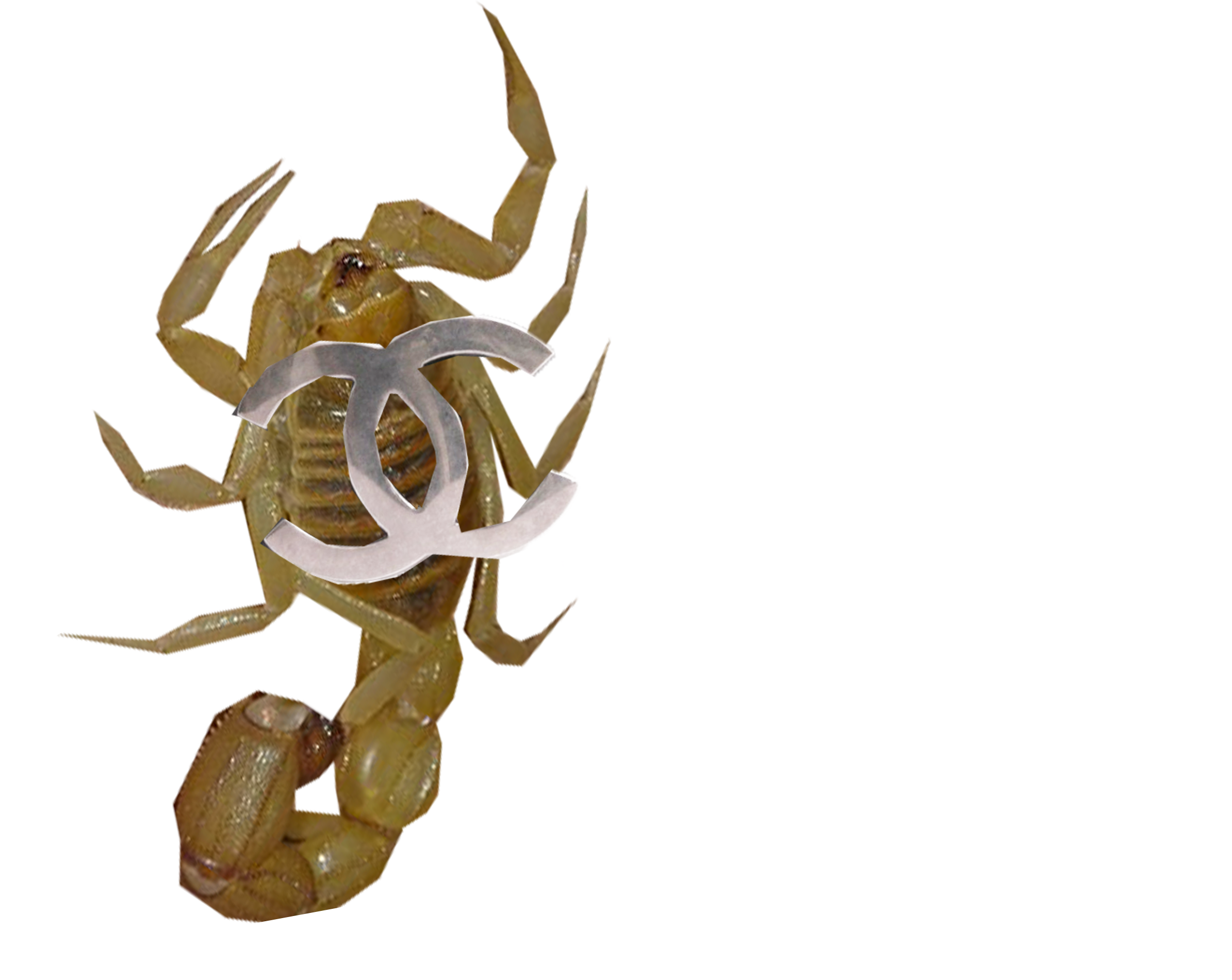 Floating Image 14